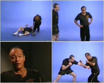 Панантукан Дэна Иносанто / Panantukan Dan Inosanto (2000) DVDRip