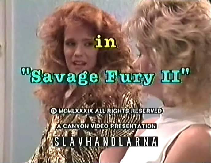 Savage Fury 2 /   2 (Tina Marie, Leisure Time Entertainment) [1989 ., Classic, Feature, VHSRip] Christy Canyon, Kimberly Kane, Mandi Wine, Tianna