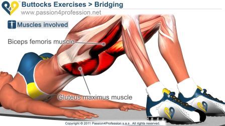 Супер комплекс упражнений для наращивания мышц, укрепления здоровья и тонуса (2011) WEBRip