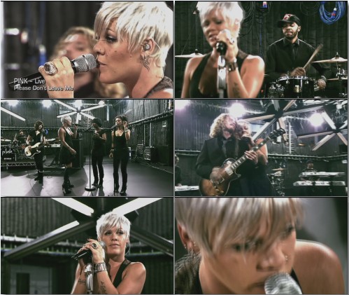 Pink - Please Don't Leave Me (Live 2009)
