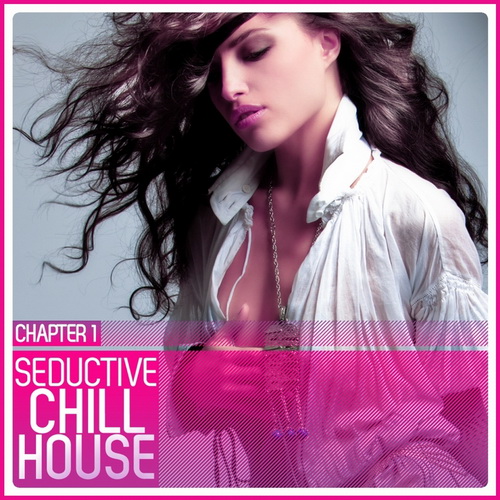 Seductive Chill House Chapter 1 (2011)