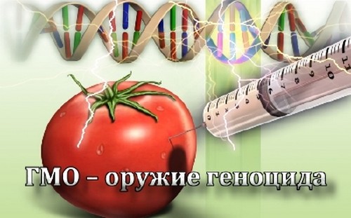 ГМО – оружие геноцида (2011)