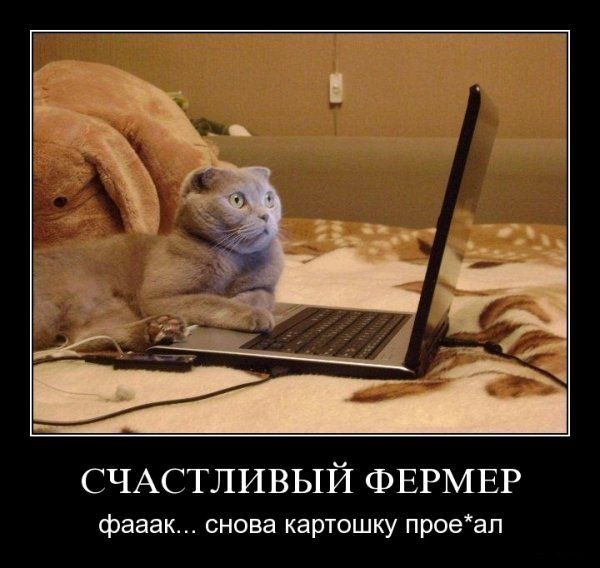 http://i26.fastpic.ru/big/2011/0806/a6/ded3437d003af1b452259a937c8386a6.jpg