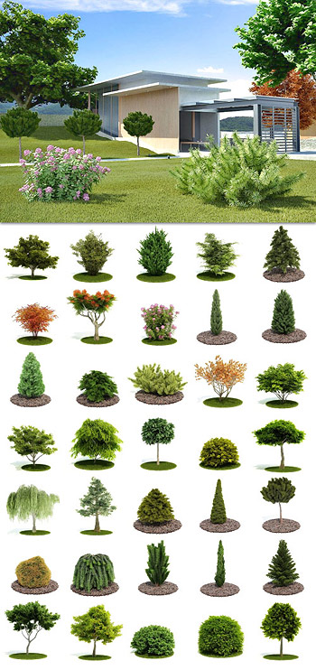 3D Bushes & Trees Evermotion Archmodels Vol 52