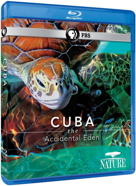 .   / PBS: Cuba - The Accidental Eden (  / Nigel Cole) [2010 ., , Blu-ray Disc 1080p [url=https://adult-images.ru/1024/35489/] [/url] [url=https://adult-images.ru/1024/35489/] [/ur