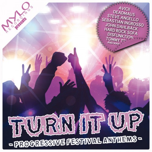 Turn It Up: Progressive Festival Anthems (2012)