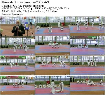 Ханкидо-Хапкидо. Демонстрация сборной Кореи (2009) DVDRip