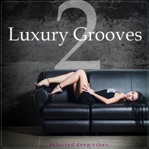 VA - Luxury Grooves Vol.2: Selected Deep Vibes (2012)