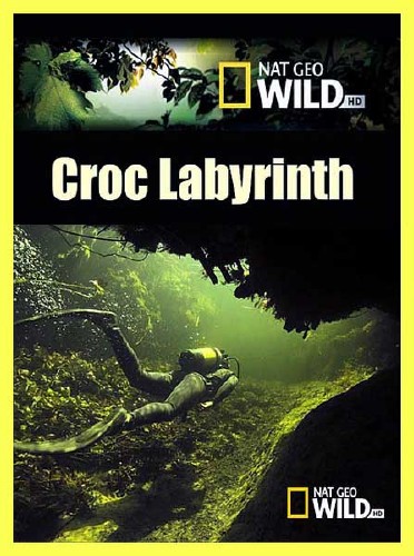   / Croc Labyrinth (2011) SATRip 