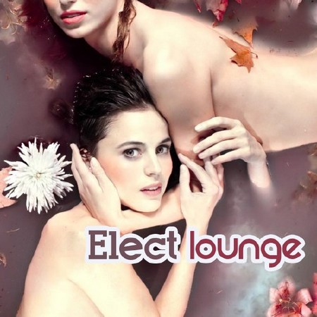 Elect Lounge (2012)