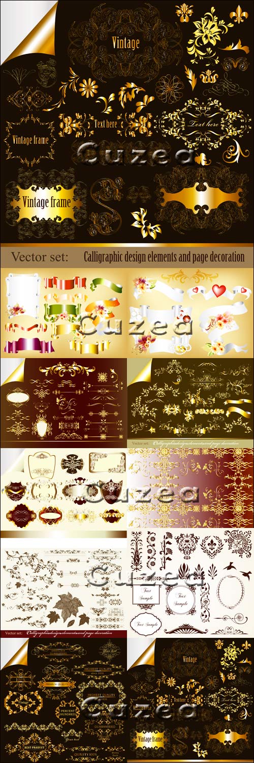 Vintage calligraphical and gold elements for design - Vector Stock photo