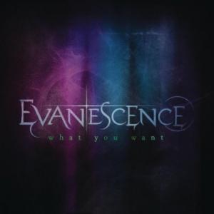 Evanescence - What You Want (Single) (2011)