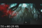 DevilDriver - Видеография (VOB)